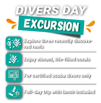 divers day slider price