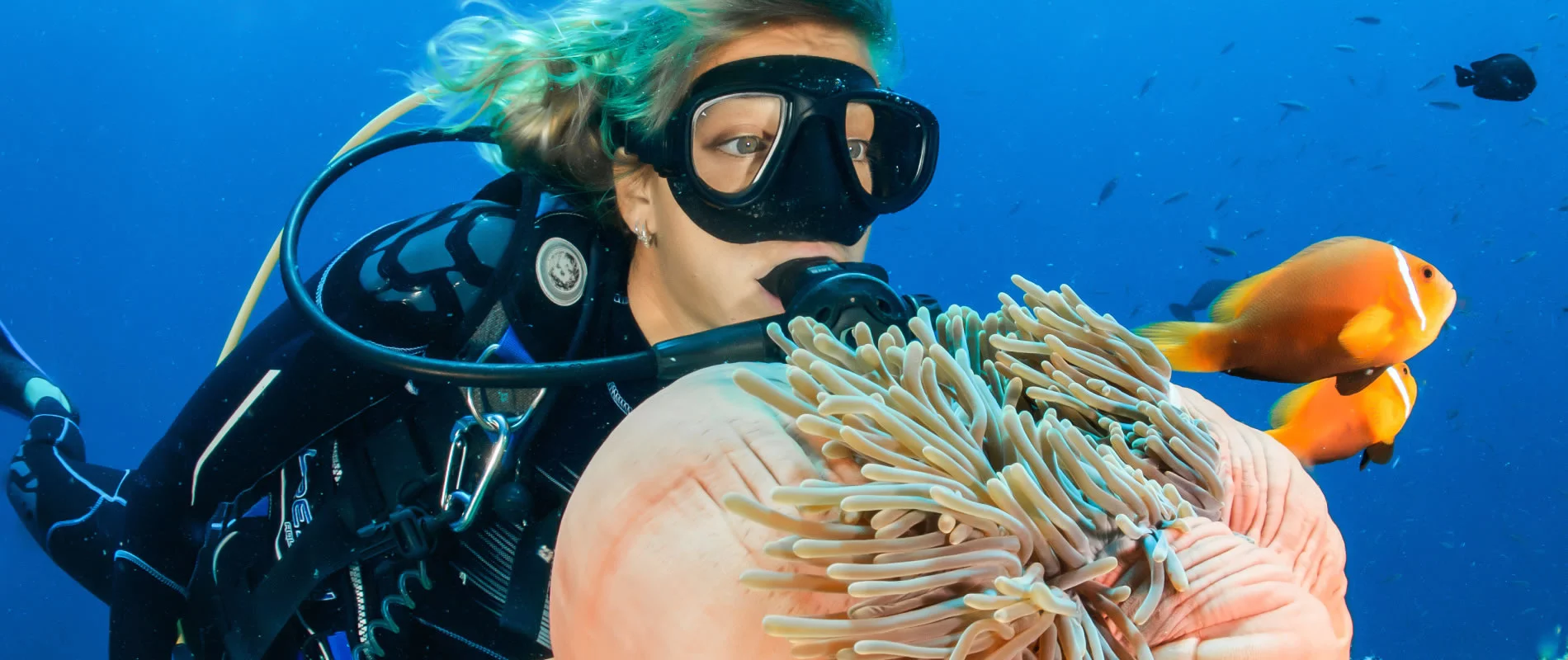 diving specials - main
