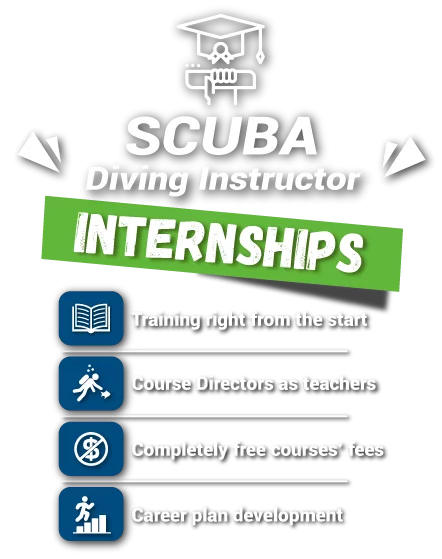 Free SDI PADI Diving Instructor Internship