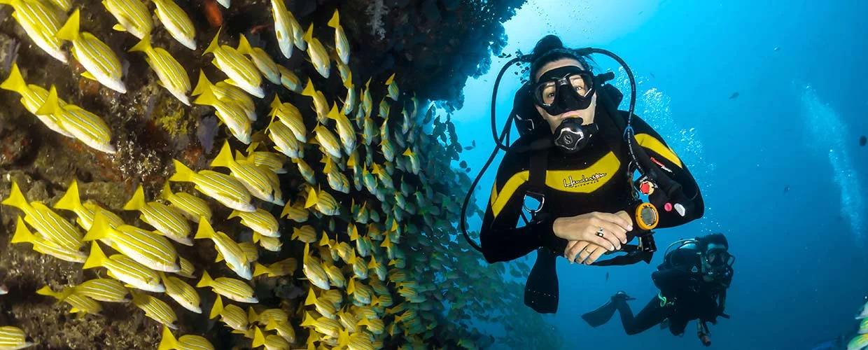 slider_scuba_diving - bucear y buceo con dressel divers