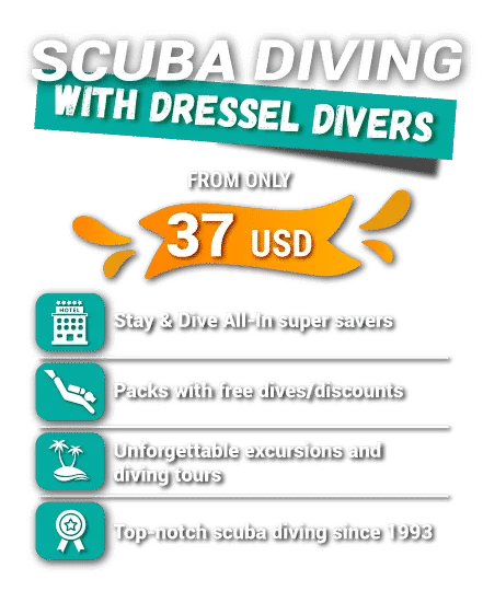 scuba diving with dressel divers