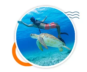 whale shark excursion