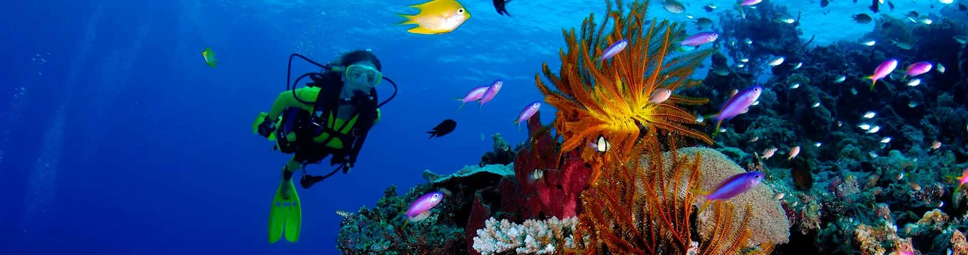 Solomon Islands Liveaboard Diving slide
