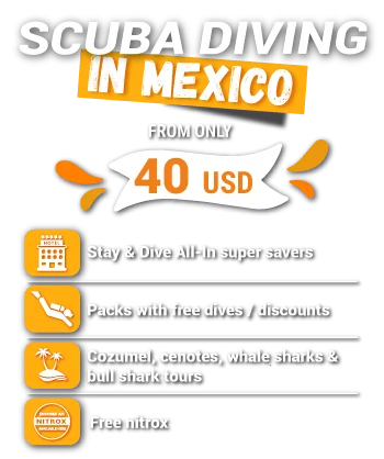 Diving Mexico
