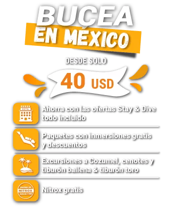 bucea en mexico