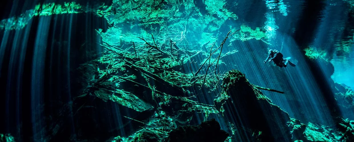 Scuba diving in Puerto Aventuras With PADI and Dressel Divers