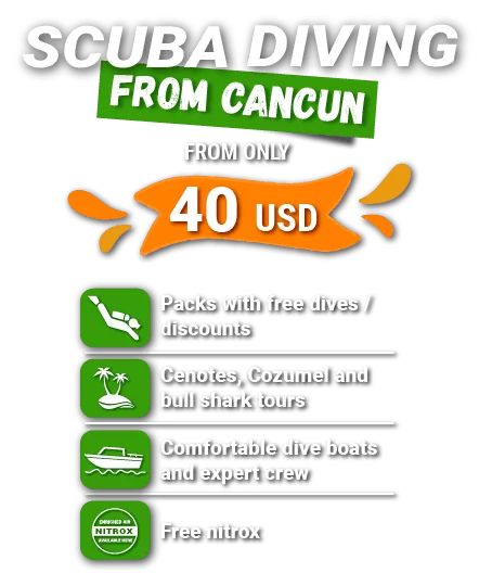 Scuba Diving from Cancun -EN