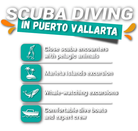 scuba diving in Puerto vallarta - highlights
