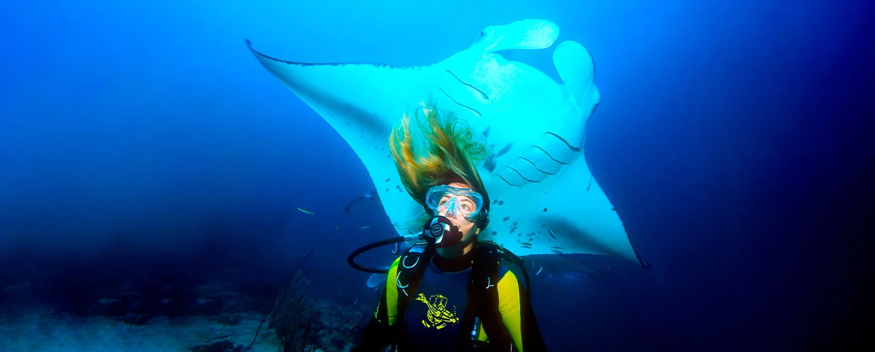 Scuba diving in Puerto Vallarta with PADI & Dressel Divers