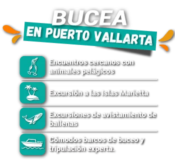 bucea en puerto vallarta