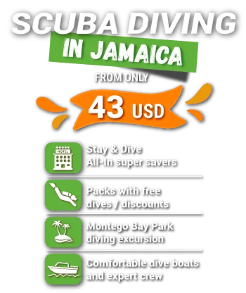 diving in jamaica