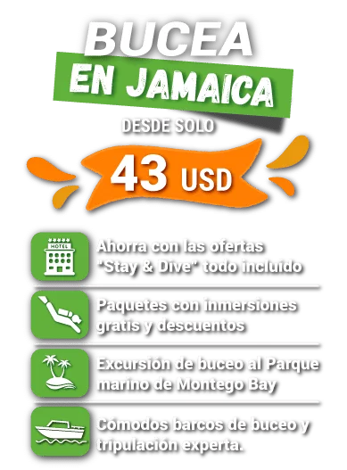 Bucear en Jamaica - precio