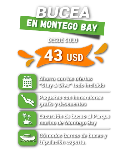 Bucear en Montego Bay