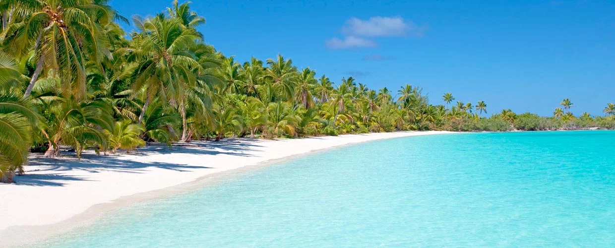 scuba diving in the Dominican Republic with PADI and Dressel Divers