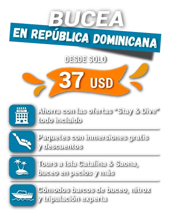 bucear en república dominicana