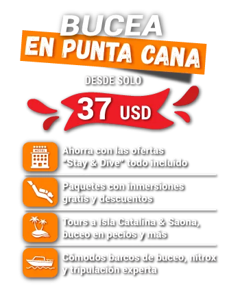 bucear en punta cana