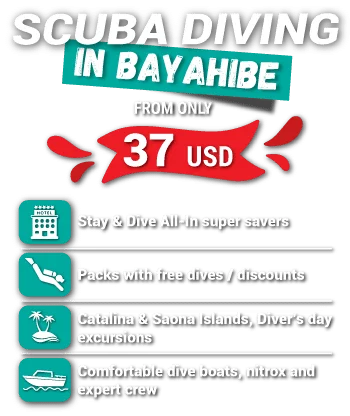 SCUBA DIVING IN BAYAHIBE
