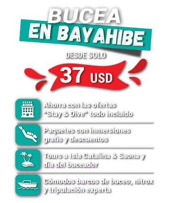bucear en bayahibe
