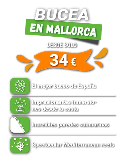 bucear en mallorca