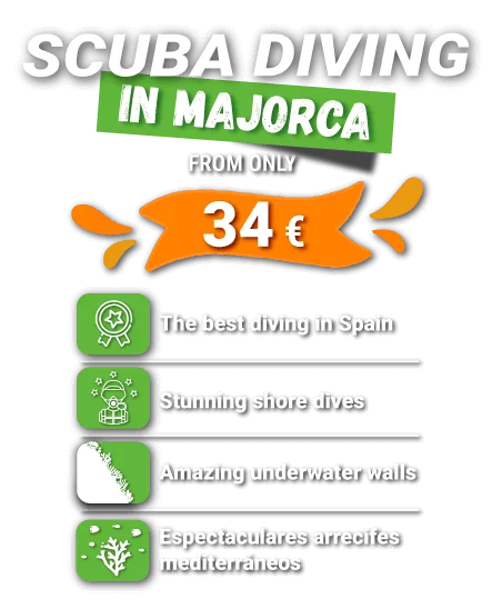scuba diving in majorca