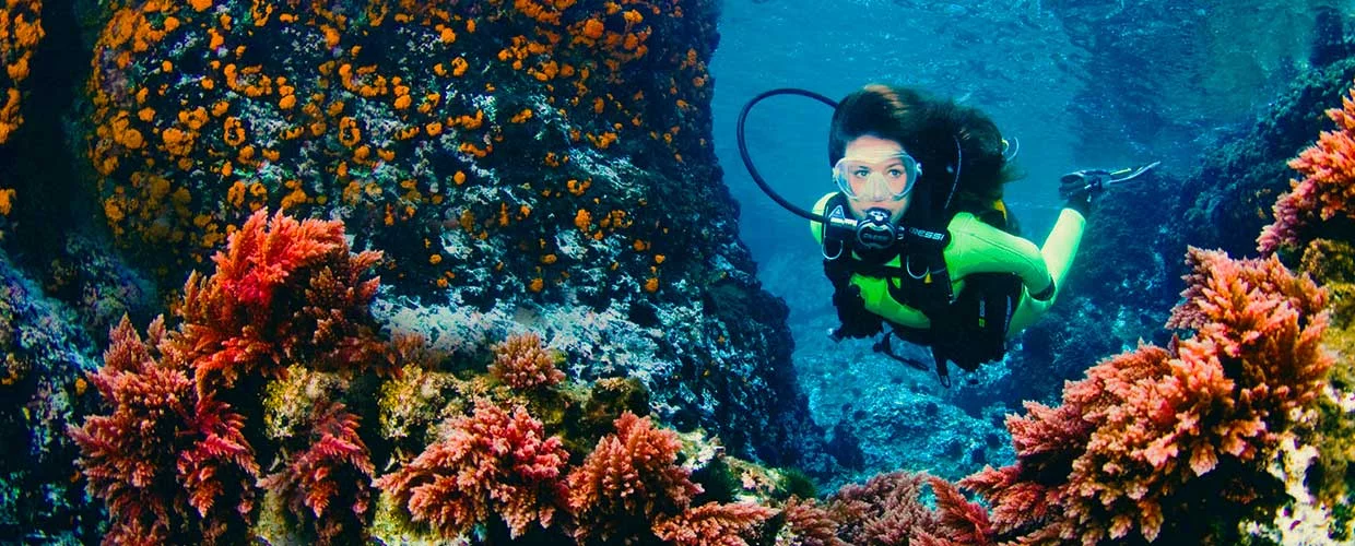 Mallorca Scuba Diving