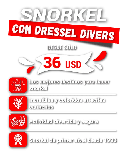 SNORKELING general SLIDER-price