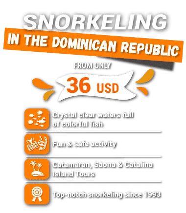snorkeling in the dominican republic