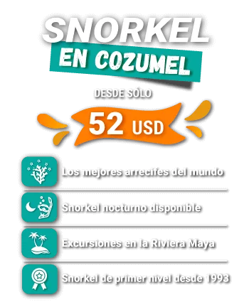 SNORKELING Cozumel SLIDER price