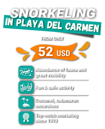 snorkeling in playa del carmen