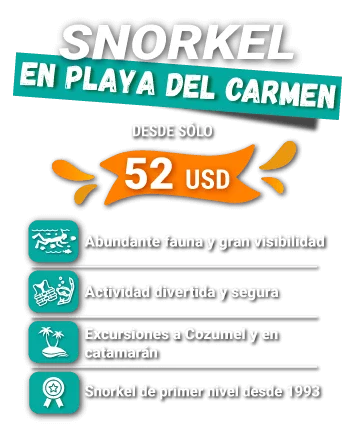 SNORKELING playa del carmen price