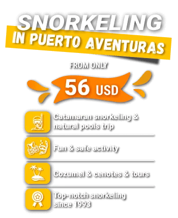 SNORKELING Puerto aventuras_en