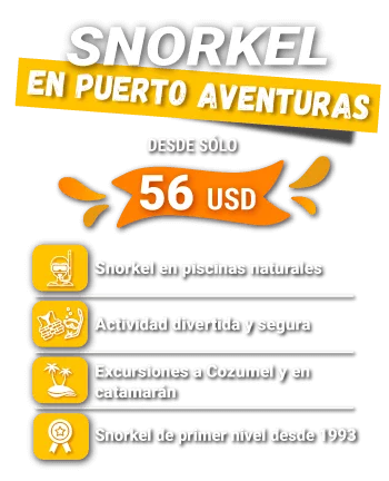snorkel en puerto aventuras - precio