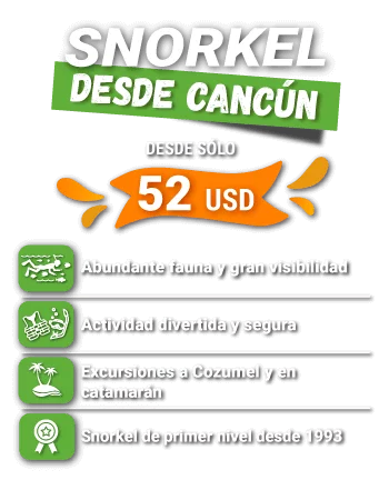 SNORKELING CANCUN SLIDER price