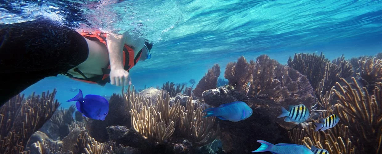 snorkeling in montego bay - marine park tours