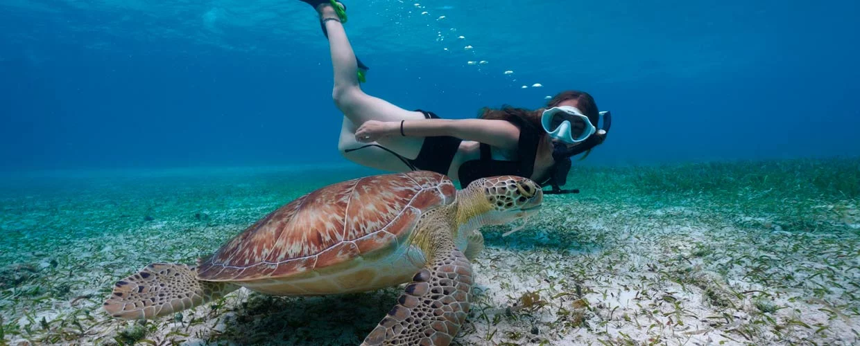 Snorkeling in Bayahibe