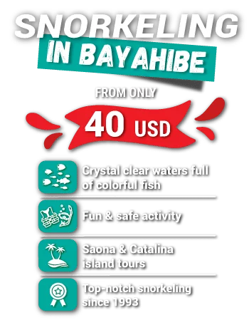 snorkeling in bayahibe