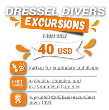 Dressel divers excursions-slider price
