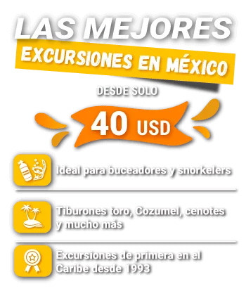Las mejores excursiones en México slider precio