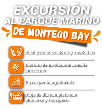 Excursion MARINE-PARK luminoso-slider precio