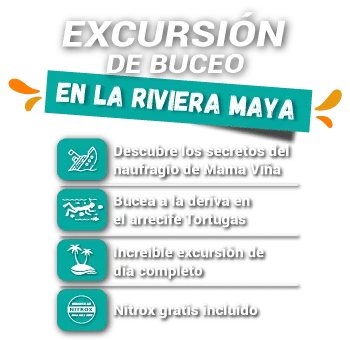 Excursión de buceo en la RIVIERA MAYA-slider-precio