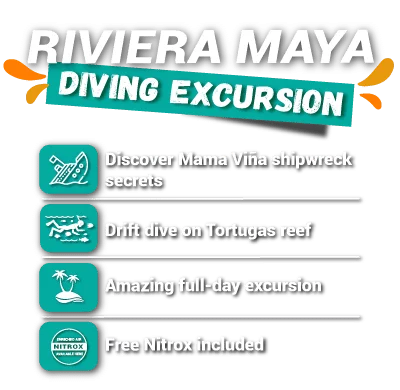 Riviera Maya diving excursion