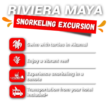 rivera maya snorkeling excursion