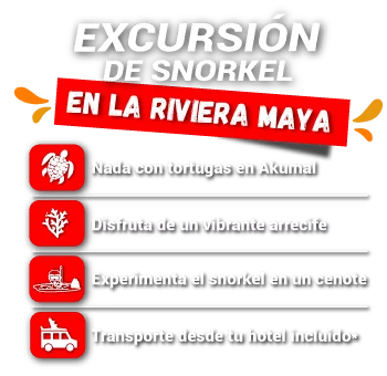 Excursion de snorkel en la Riviera Maya-slider precio