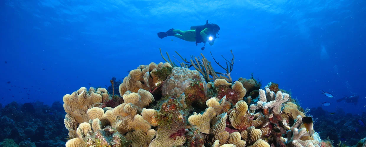 COZUMEL For Divers and Snorkelers