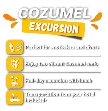 Diving and snorkeling excursions cozumel