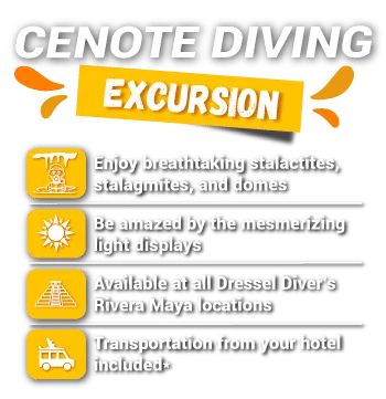 cenote diving excursion