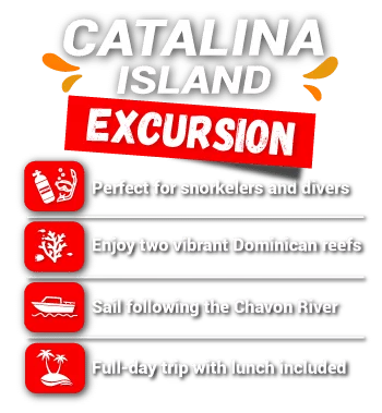 Catalina Island Excursions slider_price