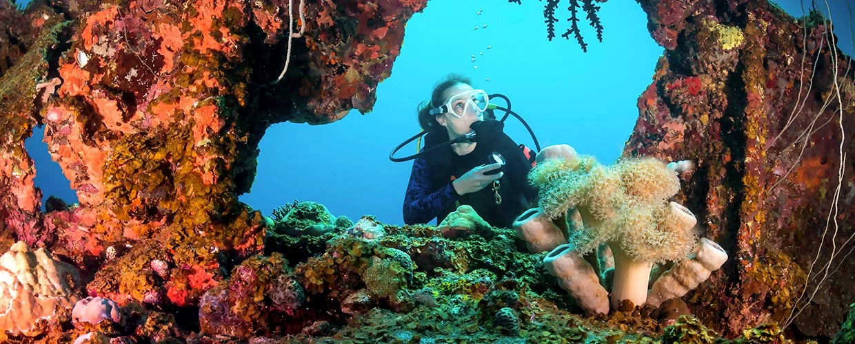 WRECK & Night diving excursion