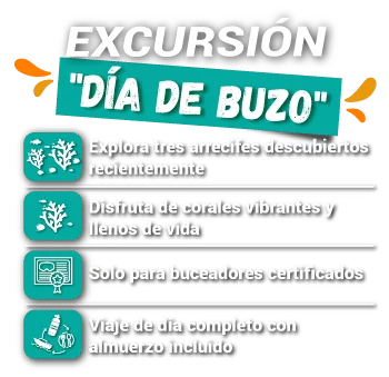 dia de buzo slider precio