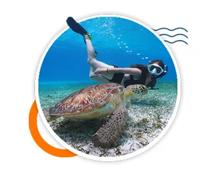 Scuba diving offers, sales and promotions - snorkeling